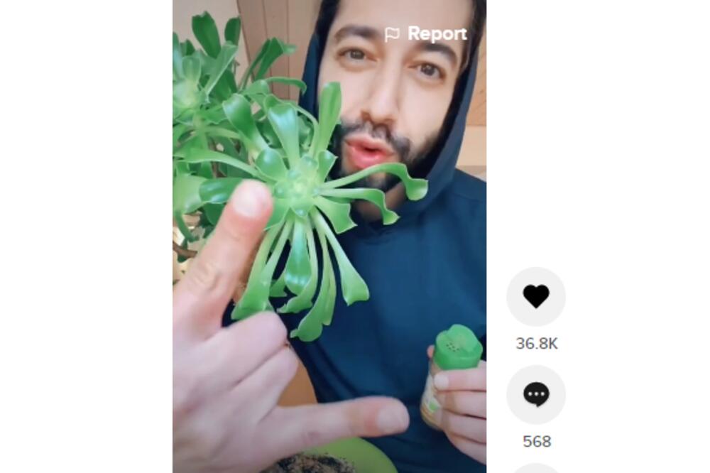 ELIKSIR ZA BILJKE! Jedan začin koji SVI IMAMO KOD KUĆE pomaže cveću na nekoliko načina! Savet broj 3 POSEBNO VAŽAN