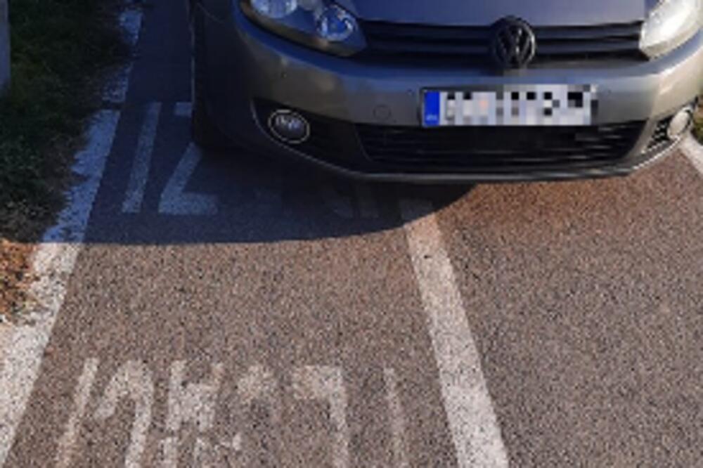 "NISAM SPOSOBAN DA DAM KOMENTAR NA OVAJ PRIZOR": Beograđani ZAPREPAŠĆENI prizorom na Kalemegdanu (FOTO)