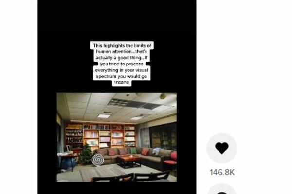 KOLIKO LJUDI ZAPRAVO NE VIDE: Doktor objavio iluziju koju NIKO NIKO NIJE USPEO DA "PROĐE" (VIDEO)