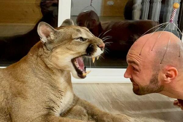 ALEKSANDAR I MARIJA U STANU DRŽE KRVOLOČNU ZVER KAO KUĆNOG LJUBIMCA: Neki će reći da su POTPUNO ODLEPILI (VIDEO)