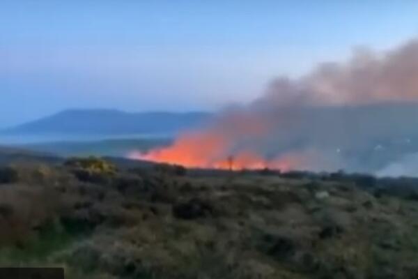 VELIKI POŽAR GUTA NACIONALNI PARK: Vatrogasci NEMOĆNI, vatrena STIHIJA ne može da se KONTROLIŠE! (VIDEO)