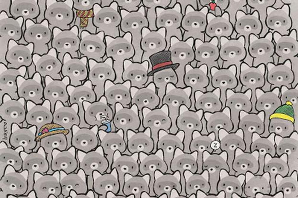 MOZGALICA NA DRUŠTVENIM MREŽAMA PODELILA LJUDE! Mnogi su se nervirali koliko je TEŠKA! A da li je uopšte? (FOTO)