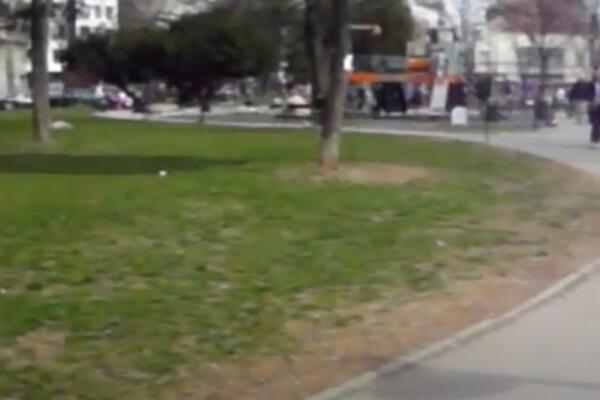 BEOGRAĐANIN DOVEZAO PEĆ ZA PICU USRED ČUBURSKOG PARKA: Ljudi u neverici, zna se i povod (FOTO)