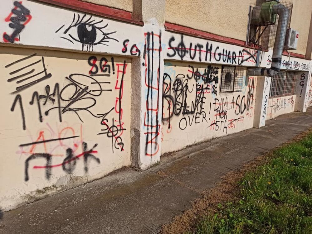 Borislav Dimković, Ruma