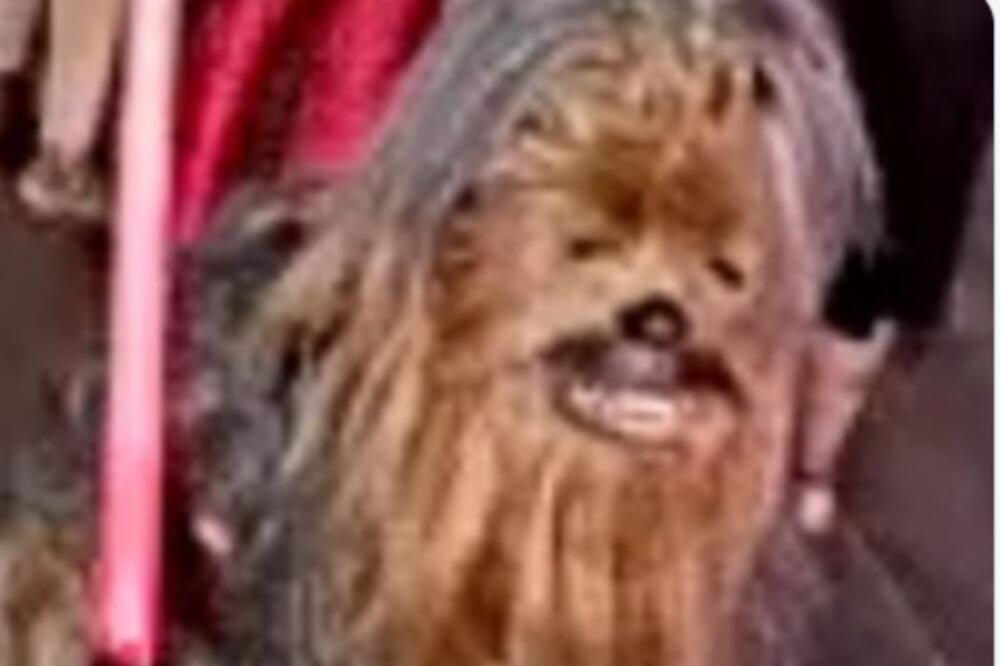 TRAŽI SE ČUBAKA! MLADIĆ PRERUŠEN U ČUVENI FILMSKI LIK IZBO SUGRAĐANINA: Izdata NESVAKIDAŠNJA poternica (FOTO)