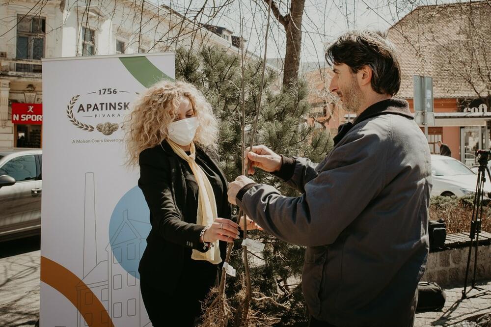 Apatinska pivara omogućila sadnju više od 700 sadnica jasena