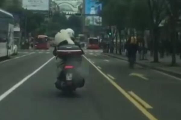 FEŠN ZAZA OSVAJA SRCA SVOJIH FANOVA: Na Slaviji su SVE OČI BILE UPRTE U NJU, projurila je na motoru (VIDEO)