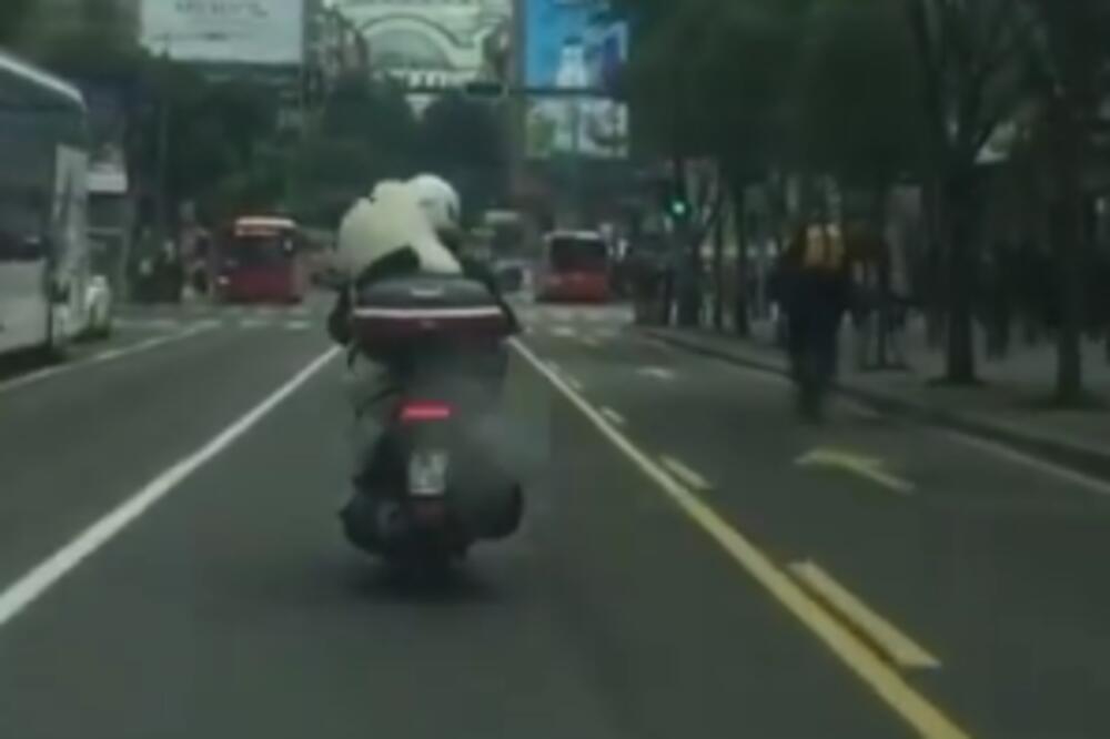 FEŠN ZAZA OSVAJA SRCA SVOJIH FANOVA: Na Slaviji su SVE OČI BILE UPRTE U NJU, projurila je na motoru (VIDEO)