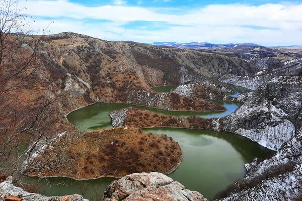 NOVI UDARAC ZA NAŠU PLANETU: Izumrle 23 vrste životinja i biljaka, evo i zbog ČEGA