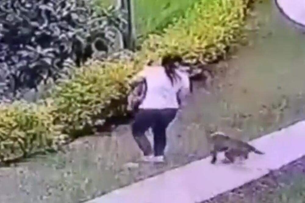 PITBUL NAPAO ŽENU KOJA JE NOSILA PSETANCE U NARUČJU: Strašan snimak kruži društvenim mrežama (VIDEO)