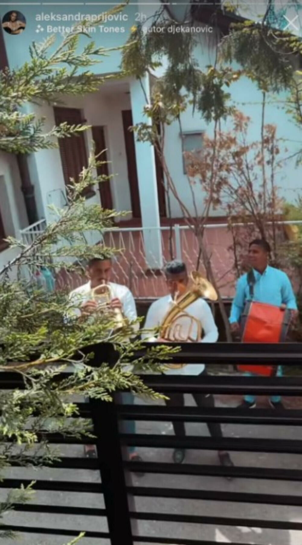 Aleksandra Prijović