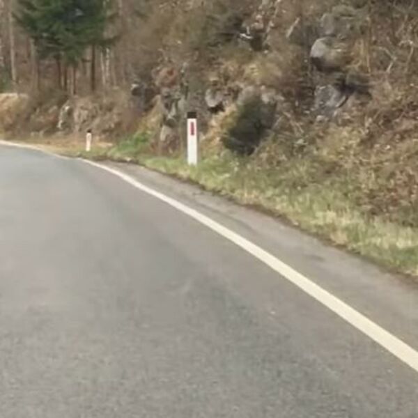 DIRLJIV PRIZOR IZ SLOVENIJE MNOGE JE RAZNEŽIO: Stručnjaci upozoravaju da ovo može biti opasno! (VIDEO)