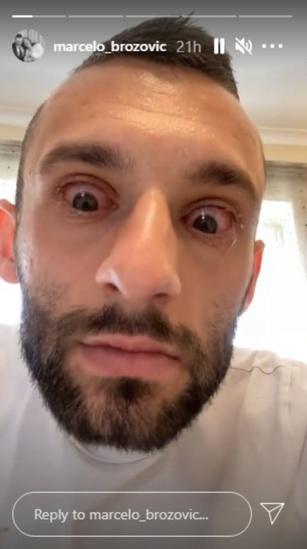 Marcelo Brozović