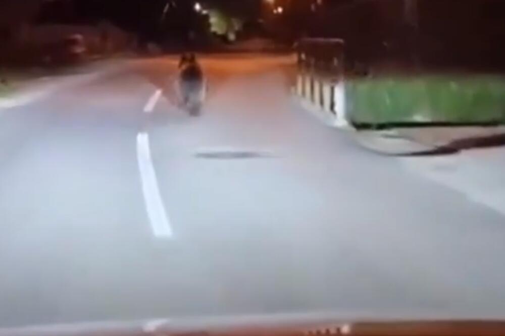 IZNENAĐUJUĆI SUSRET: Snimljen medved kako trči ispred automobila u jednom banjalučkom naselju! (VIDEO)