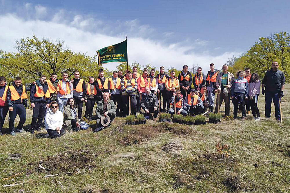 ZASADI DRVO: Nove šume za nova pokolenja