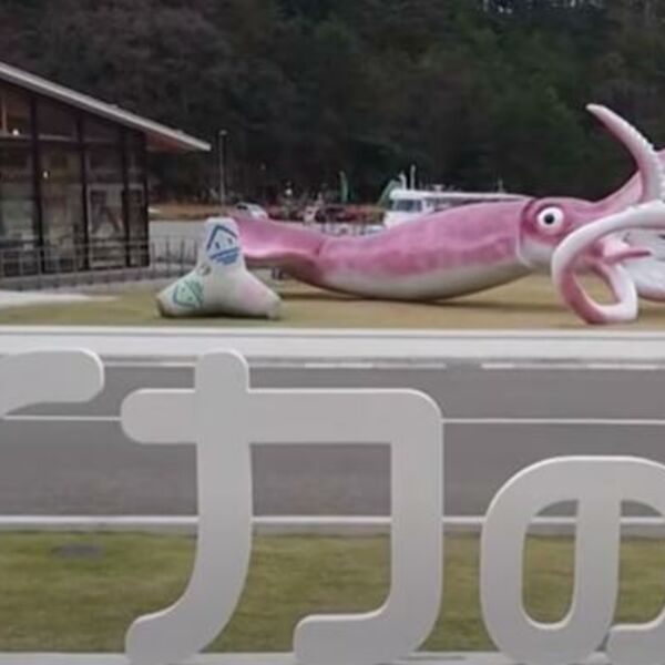 PLJUŠTE KRITIKE! NOVAC ZA BORBU PROTIV KORONE SPISKALI NA STATUU LIGNJE: Stanovnici ogorčeni i besni (VIDEO)