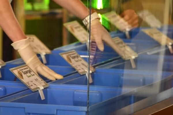 U RURALNIM DELOVIMA NEMAČKE PONOVO BUKTI KORONA: Dvostruki standardi za sezonske radnike!