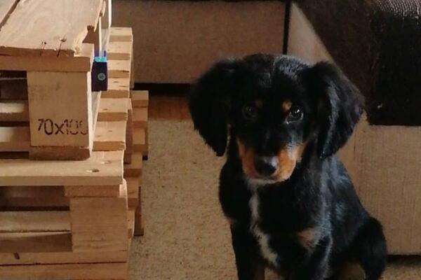 Tara je za Espreso otkrila sa kim deli stan! (FOTO)