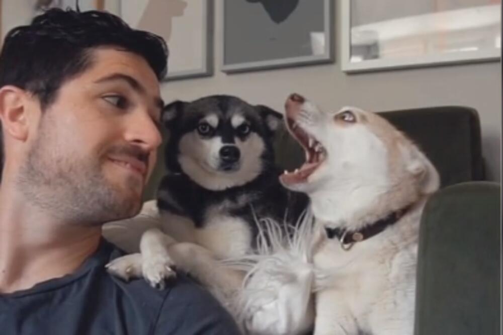 SAMO JE ZALAJAO NA PSE DA BI VIDEO KAKO ĆE REAGOVATI: Iznenadio se maksimalno! (VIDEO)