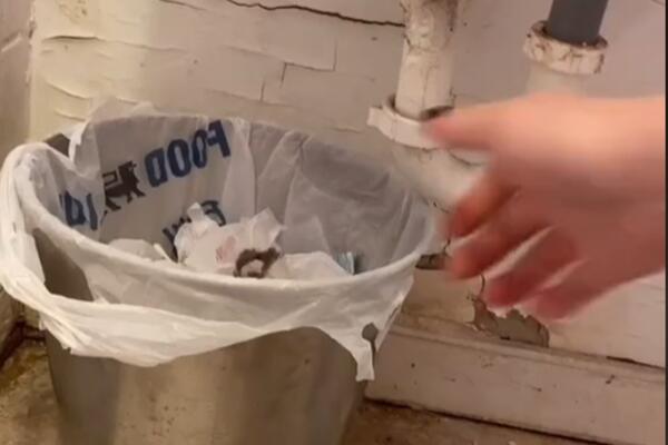 SAMO ŠTO JOJ JE PODIGAO KIRIJU STANARKA SABOTIRALA POSLODAVCA: Neviđeni hit! (VIDEO)