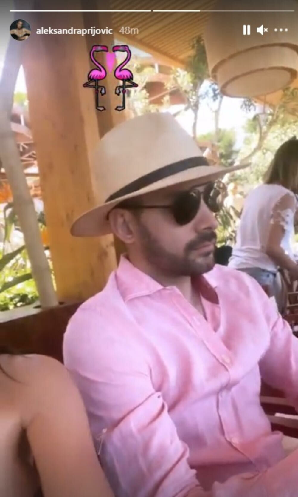 Aleksandra Prijović