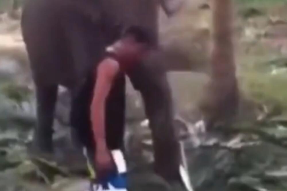 HTEO JE DA POMAZI SLONICU! Ali ona je izgleda bila u PMS-u! (VIDEO)