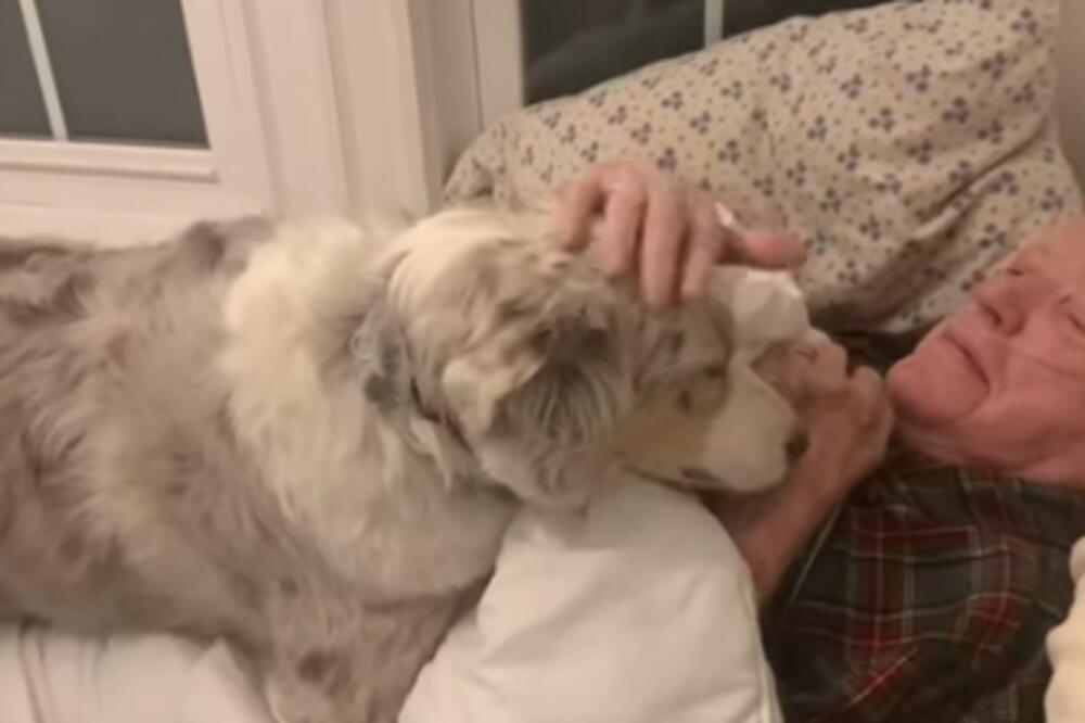 NERASKIDIVA VEZA DEKE I KRZNENOG DRUGARA: Još jedan DOKAZ da je pas čovekov NAJBOLJI PRIJATELJ (VIDEO)