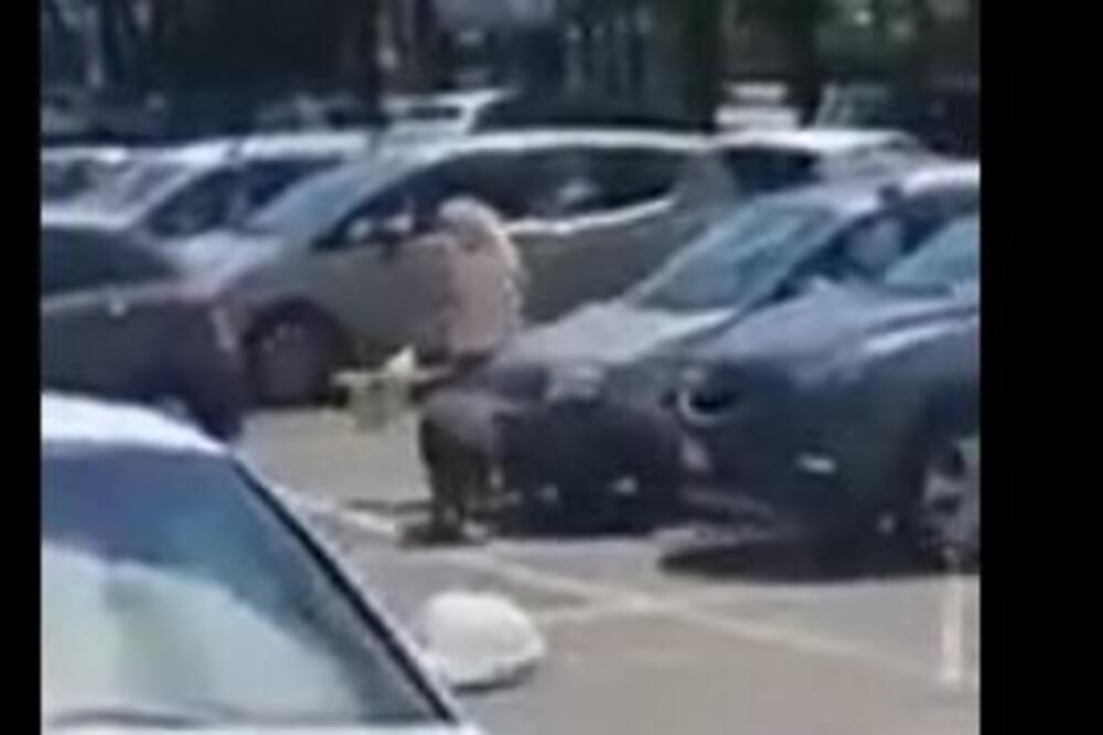 DRAMA NA PARKINGU PRODAVNICE! Divlje svinje napale ženu, pokušale da joj otmu kese sa hranom! (VIDEO)