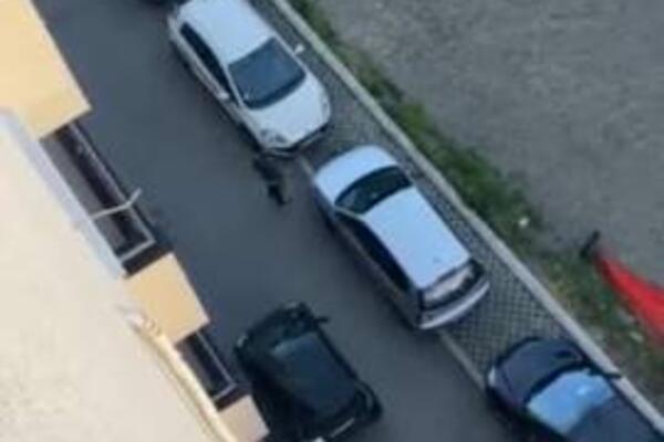 ISPLIVALI NOVI SNIMCI NASILJA U TERETANI U BORČI: Tukao si me dok sam ležao za je*enih 200 evra, SKLONI NOŽ (VIDEO)