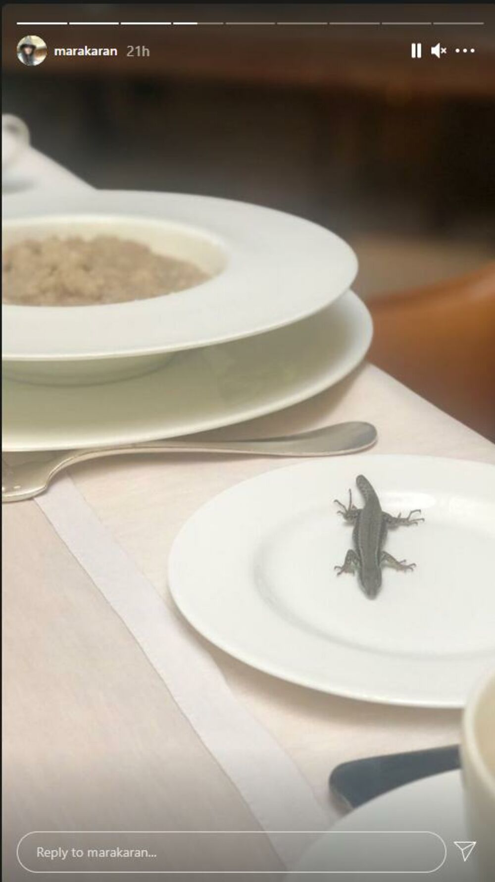 Zabava, Zvezda, Marija Karan, Glumica