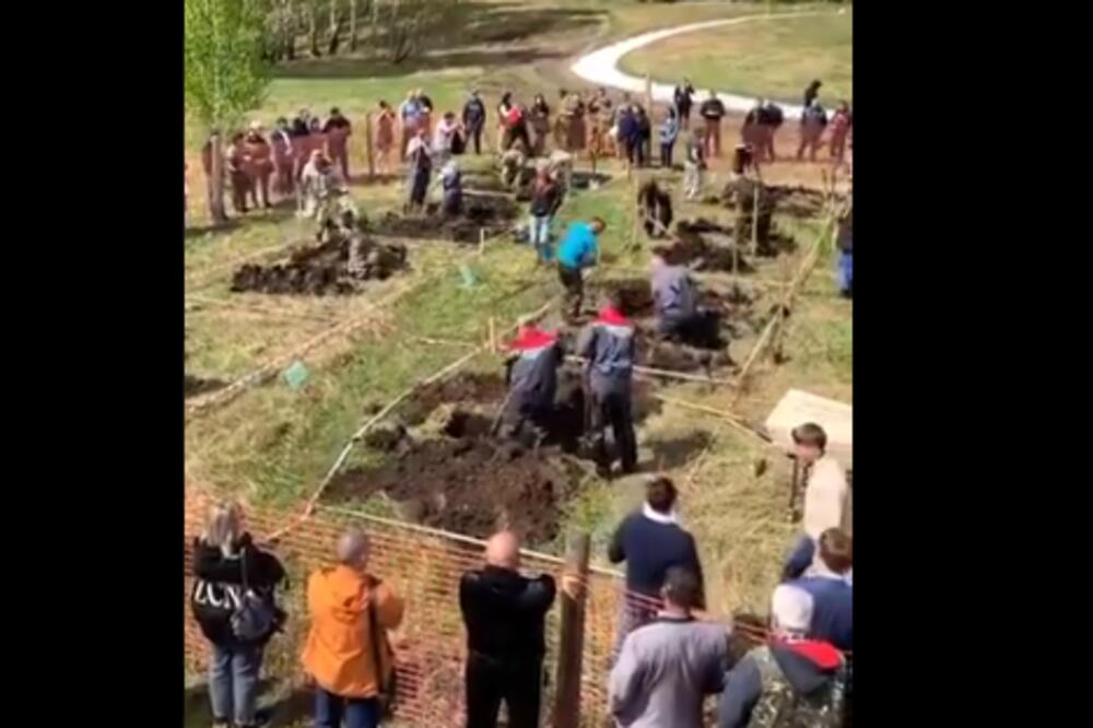 DANAS JE ODRŽANO TAKMIČENJE U KOPANJU GROBOVA: Učesnici su pre početka morali da ispoštuju bizarno pravilo! (VIDEO)