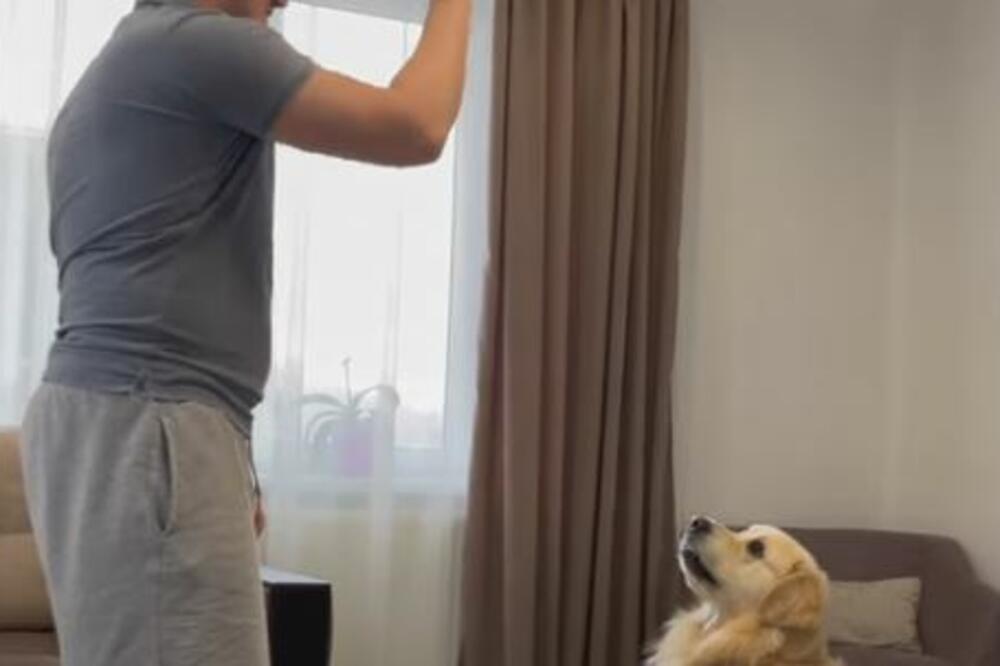 Odlučio je da se našali sa svojim psom, pa se usred igre SAKRIO iza zavese: Reakcija psa će vas nasmejati