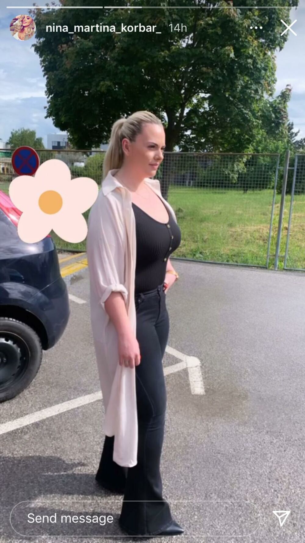 zabava, zvezda, šou, nina martina