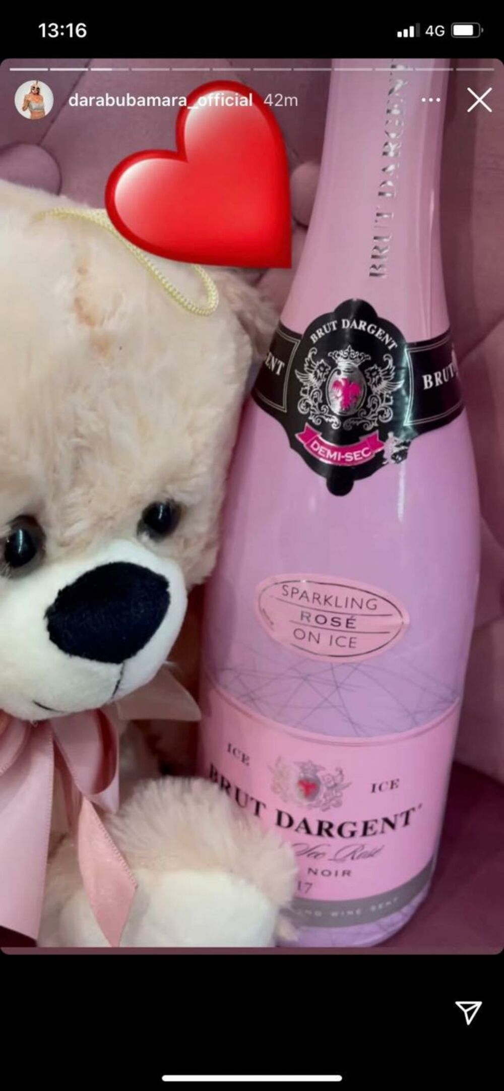 zabava, dara bubamara, Pevačica