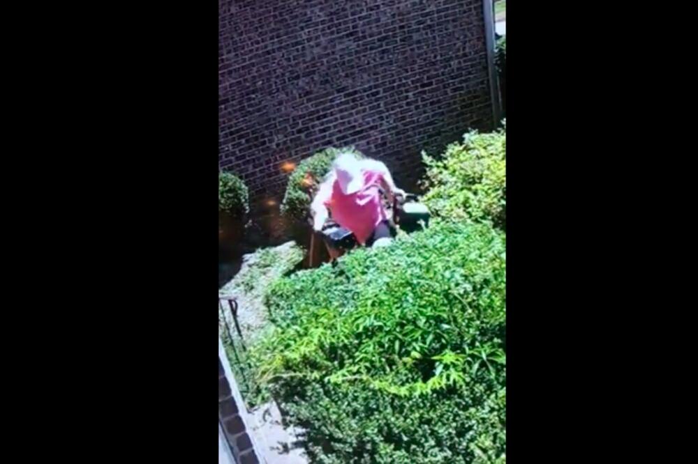 ŠIŠALA JE ŽIVU OGRADU, KAD JE IZ NJE ISKOČIO HOROR! Jedva je sačuvala živu glavu (VIDEO)