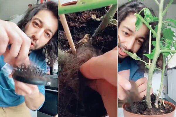 NE BACAJTE KOSU SA ČETKE, ČISTO JE BLAGO: Mladić pokazao trik - toliko je lud da ne može da ne radi (VIDEO)