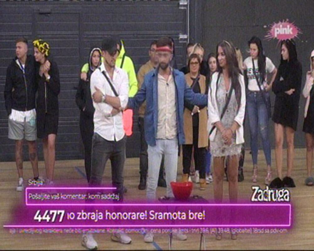 zabava, zadruga, cvele