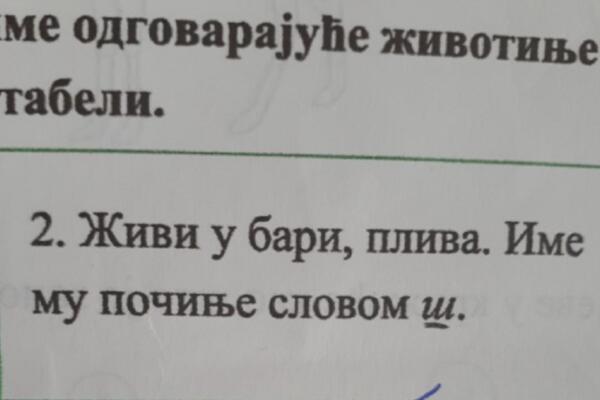 ŠTA TO ŽIVI U BARI, PLIVA, IME MU POČINJE NA Š? Odgovor UČENIKA nasmejao celu Srbiju! (FOTO)