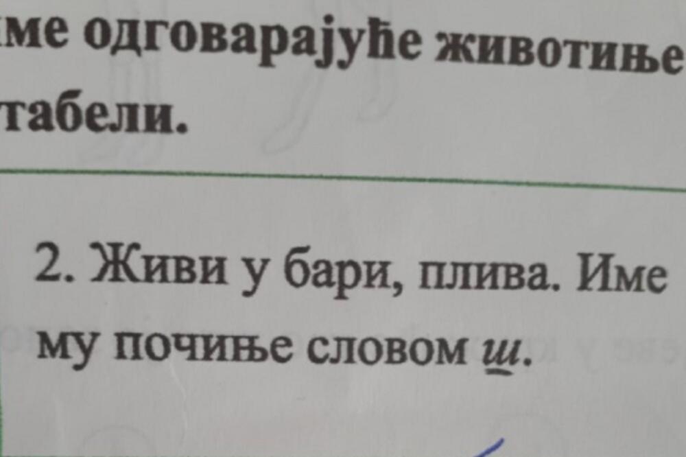 ŠTA TO ŽIVI U BARI, PLIVA, IME MU POČINJE NA Š? Odgovor UČENIKA nasmejao celu Srbiju! (FOTO)