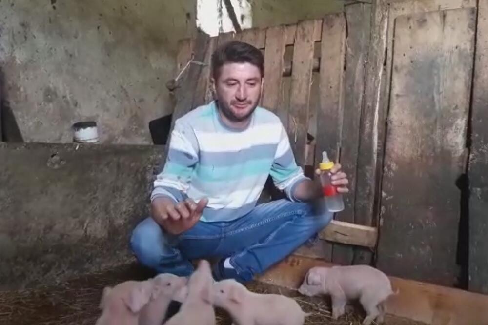 MARKO NA CUCLU HRANI OSAM PRASIĆA KOJI SU OSTALI BEZ MAJKE: Tokom noći ustaje na DVA SATA kako ne bi bili gladni