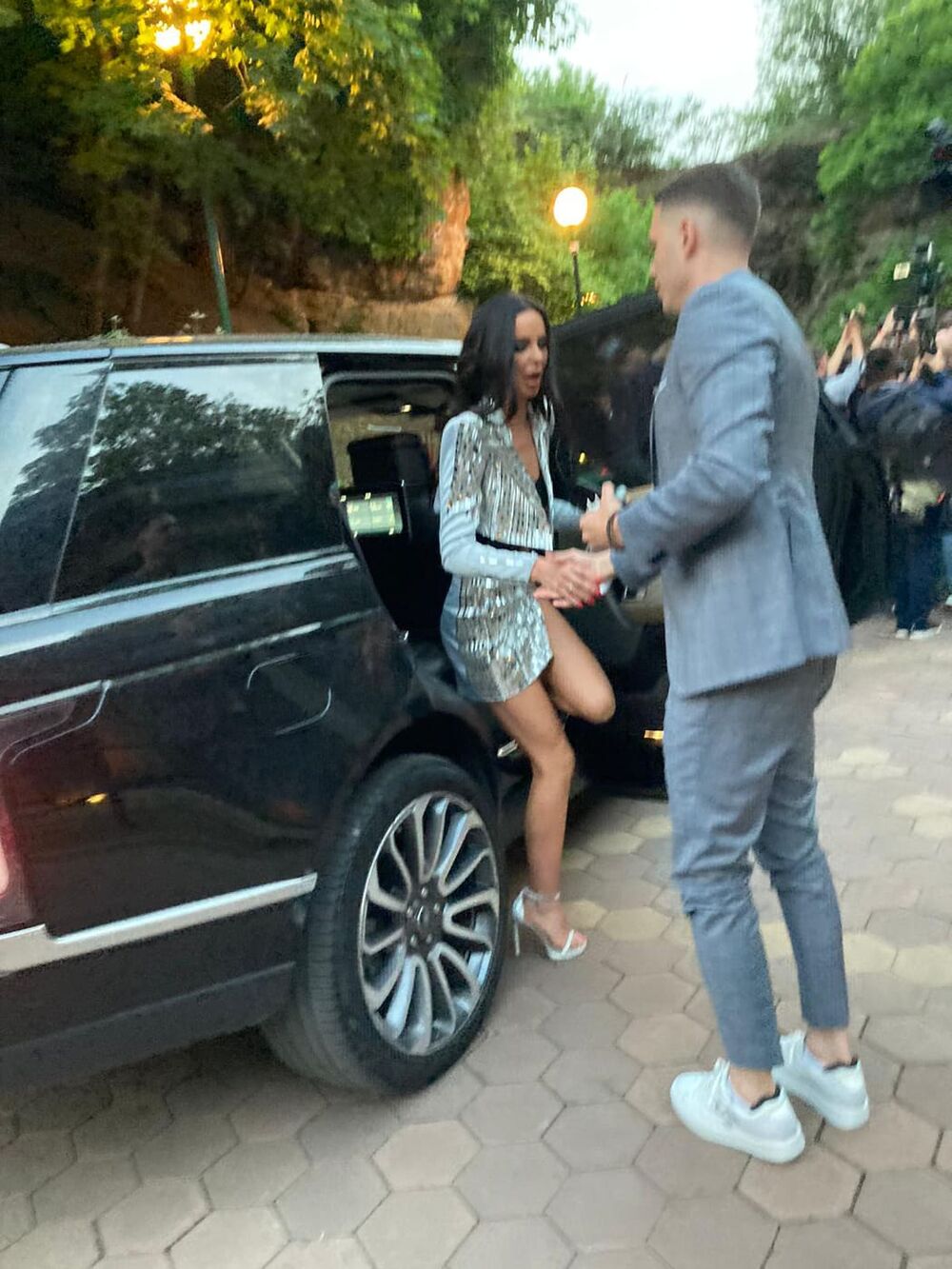 Bogdan Srejović, Bogdana Ražnatović