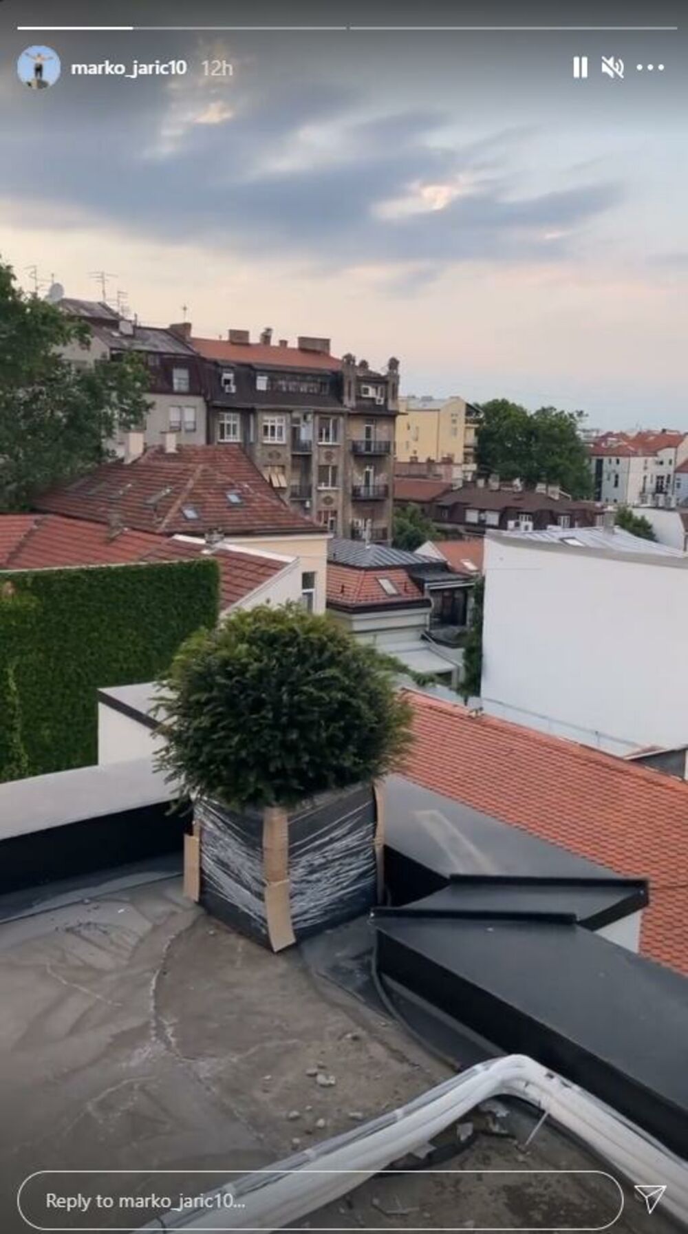 Marko Jarić, Zabava, Kuća