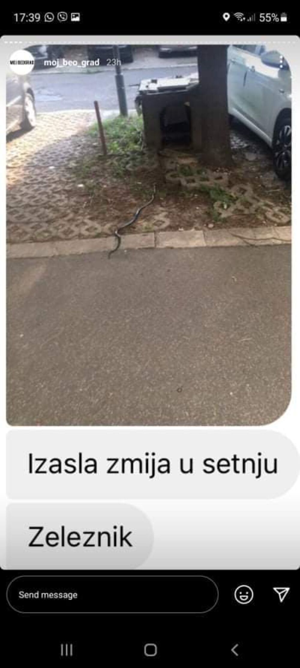 Zmija, Železnik