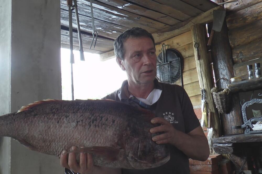 ZA NJEGA JE SFRJ BILA MALA: Šućro je ostavio makaze za šišanje i otišao u morske dubine! SVE JE ČINIO ZA DOBAR ULOV