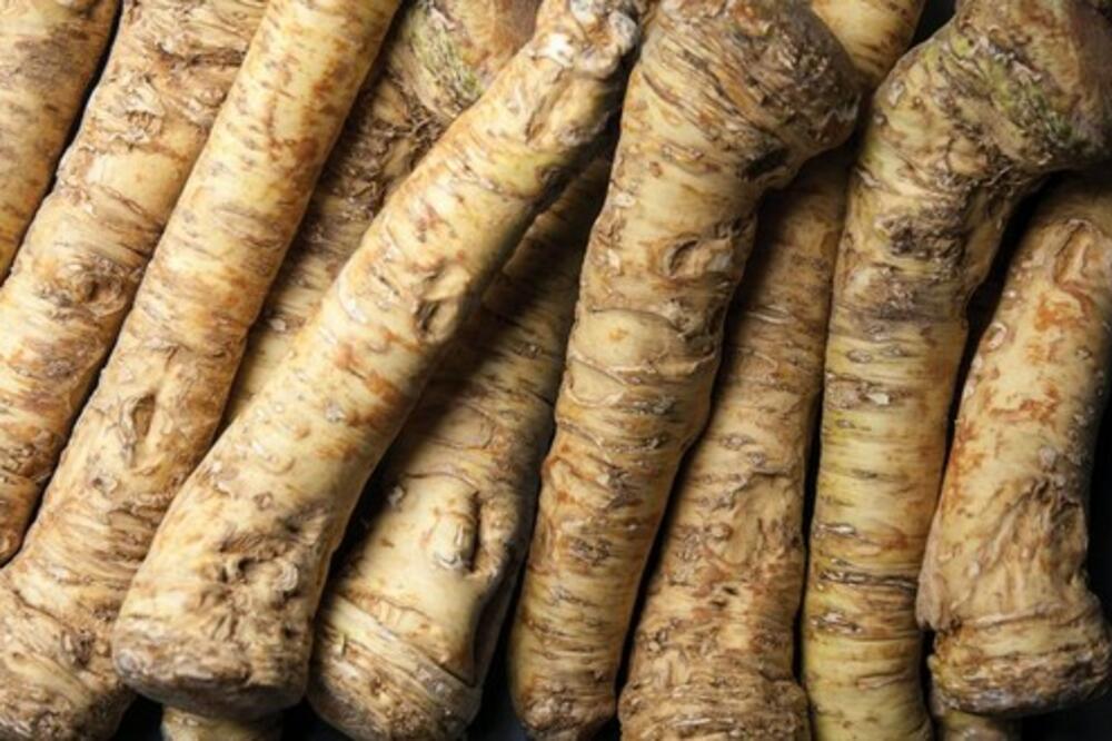 DOMAĆI REN JE NAJBOLJI IZBOR! Pogledajte RECEPT koji garantuje odličan UKUS