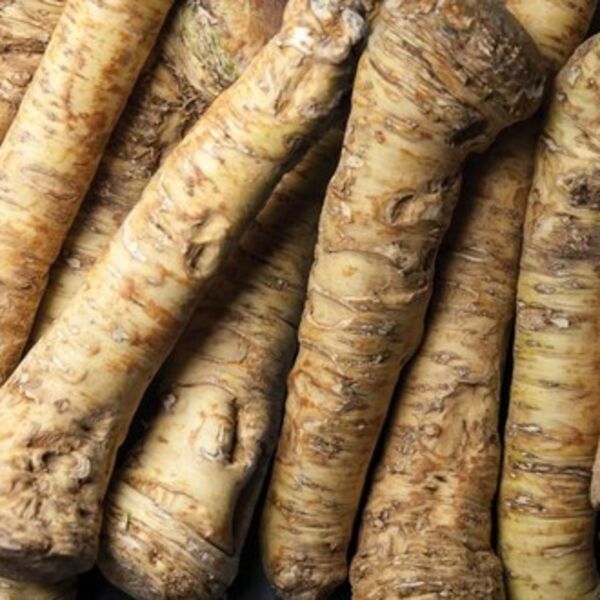 Ovaj prirodni antibiotik otvara sinuse i jača imunitet! Nema zdravijeg, posle njega svi osete isto