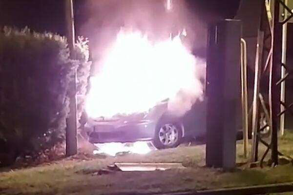 AU! U novosadskom naselju IZGOREO PEŽO, ne zna se šta je uzrokovalo požar, ali NEMA POVREĐENIH (VIDEO)