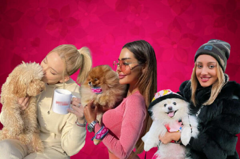 BACAJU MILIONE NA PSE, SLAVE IM SKUPOCENE ROĐENDANE U RESTORANU: Jedna je davala LEKOVE ZA SMIRENJE, drugoj je SIN!