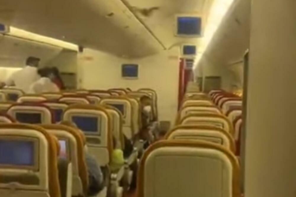 DRAMA U AVIONU Šišmiš izazvao paniku na letu za SAD, morali su da se vrate u Indiju (VIDEO)