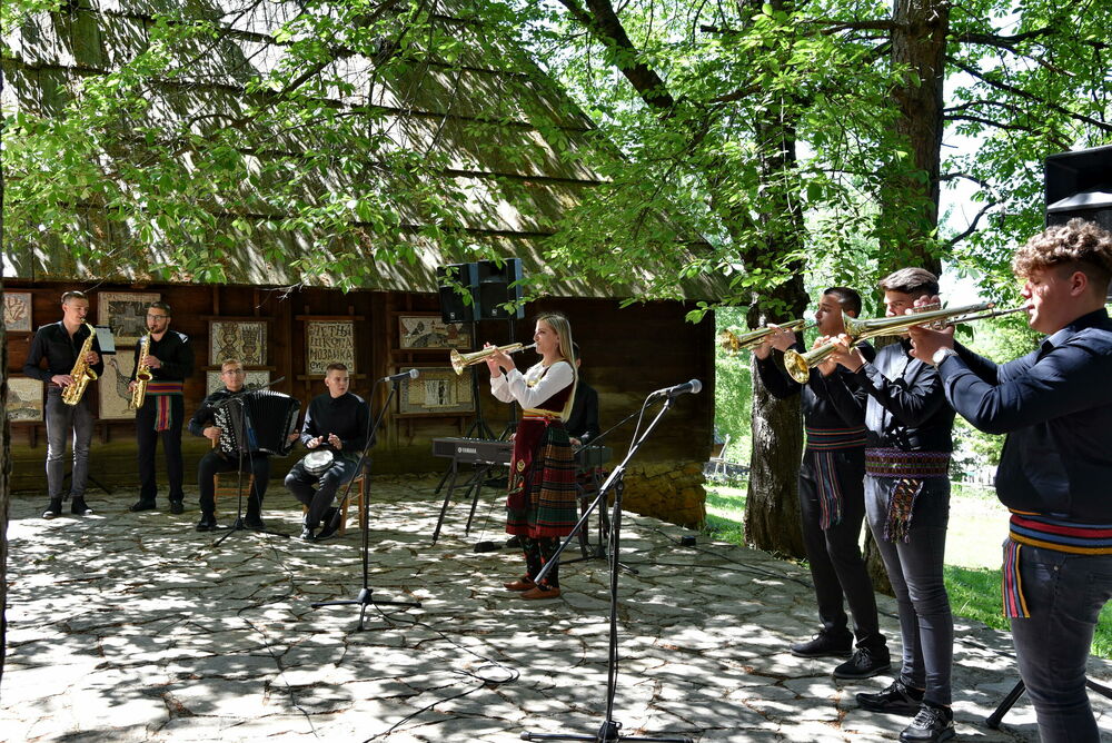 Danijela Veselinović